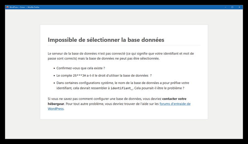 Capture écran d'une erreur dans WordPress